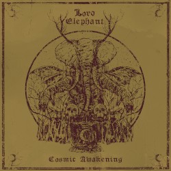 Cosmic Awakening