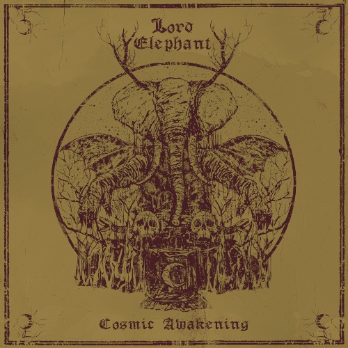 Cosmic Awakening