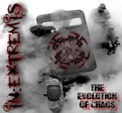The Evolution of Chaos