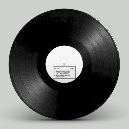 Majestic Intelligence / Nema, Child of the Void (Remixes)