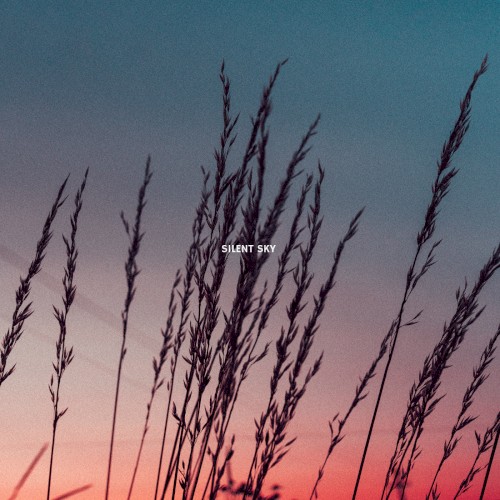 Silent Sky
