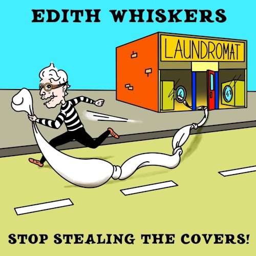 Stop Stealing the Covers!