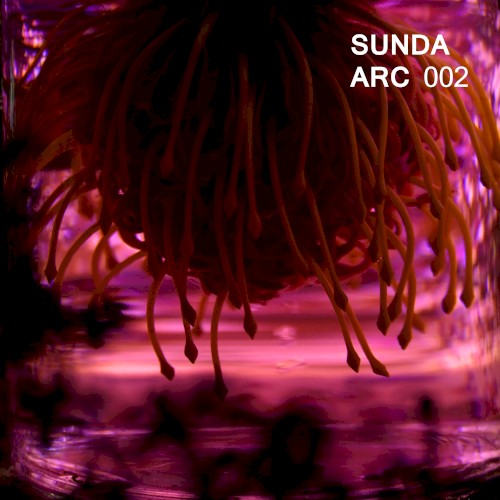 Sunda Arc 002