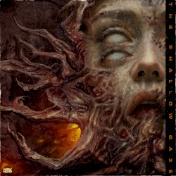 The Shallow Gaze