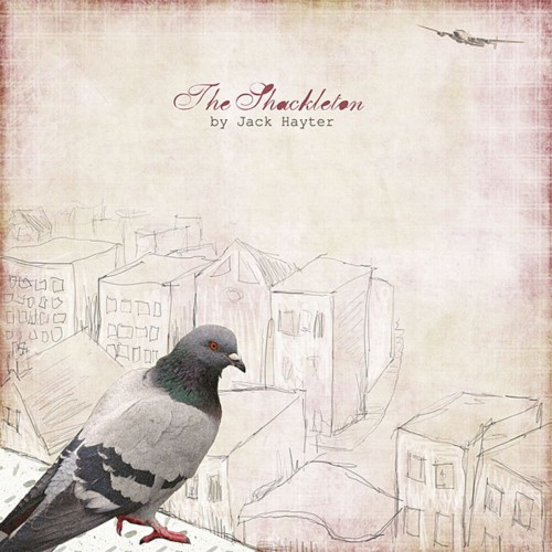 The Shackleton