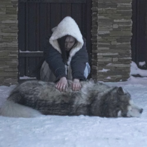 Здорово