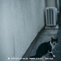 雨