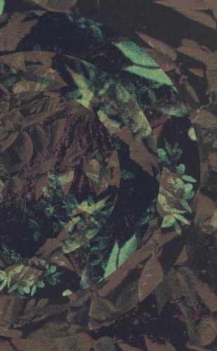 Treehut Visions