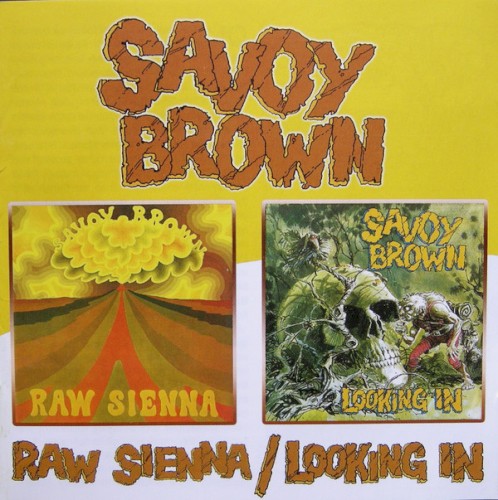 Raw Sienna / Looking In