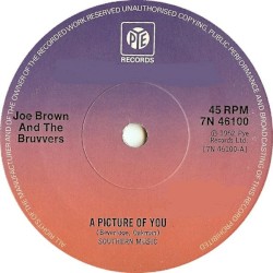 A Picture of You
