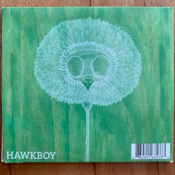 Hawkboy/King Folly