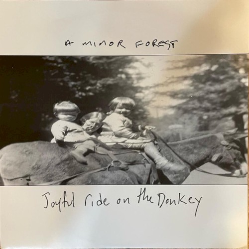 Joyful Ride on the Donkey