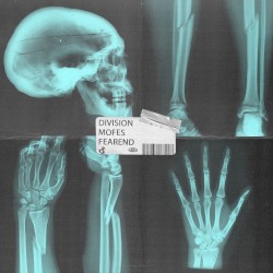 Fracture / Break