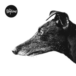 Canine