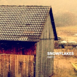 Snowflakes II