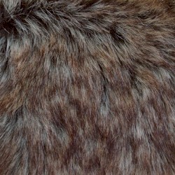 The Beard Album