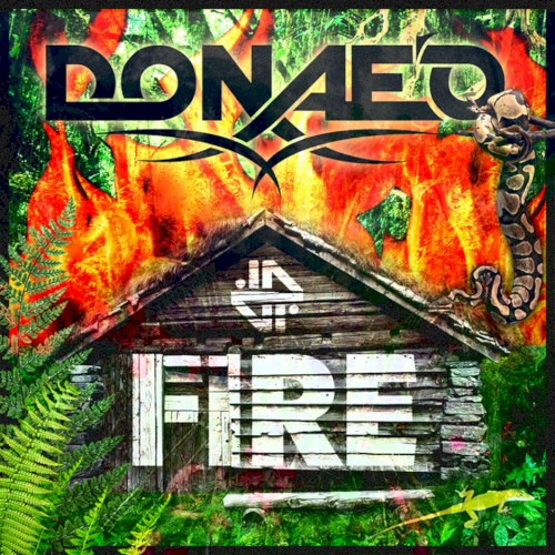 Fire