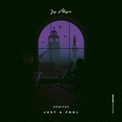 Just a Fool (remixes)