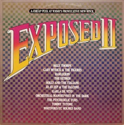 Exposed II: A Cheap Peek at Today’s Provocative New Rock