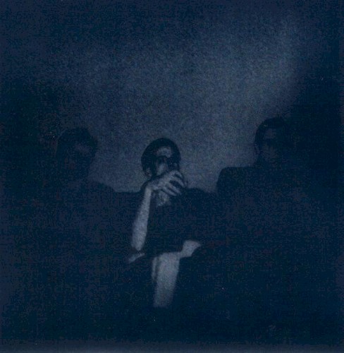 Rot In The Core / You Will Not Survive