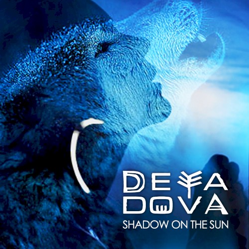 Shadow on the Sun