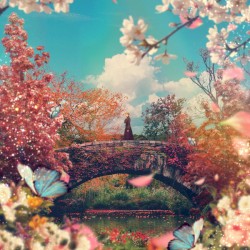 Full Bloom