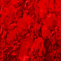 Red Carnations