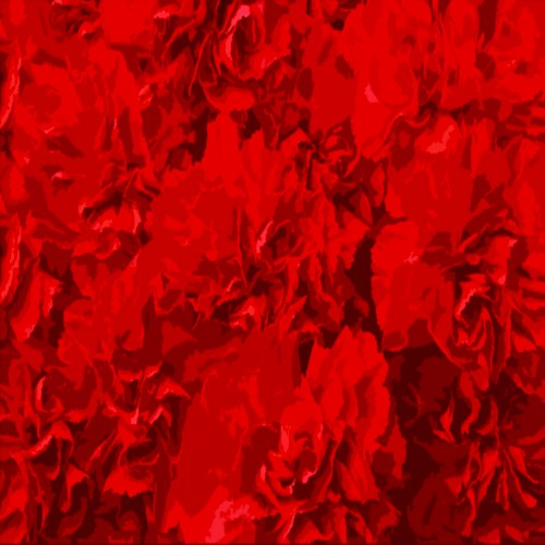 Red Carnations