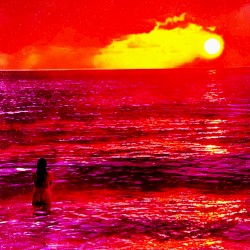 I Used To Live By The Ocean
