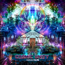 Cosmic Unity