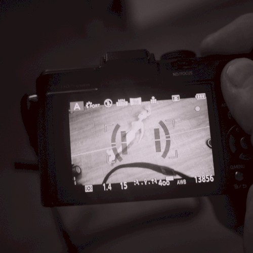 фоторужье