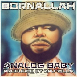 Analog Baby