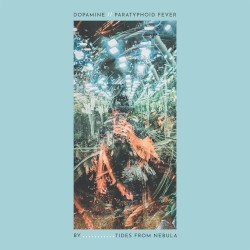 Dopamine // Paratyphoid Fever