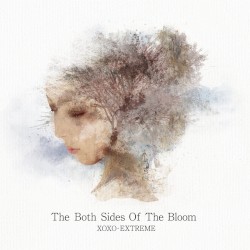 The Both Sides of the Bloom