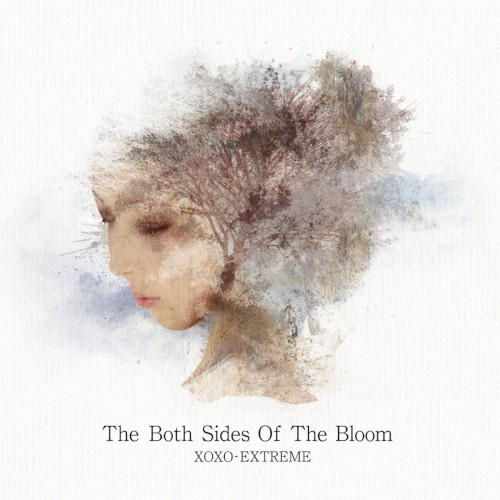 The Both Sides of the Bloom