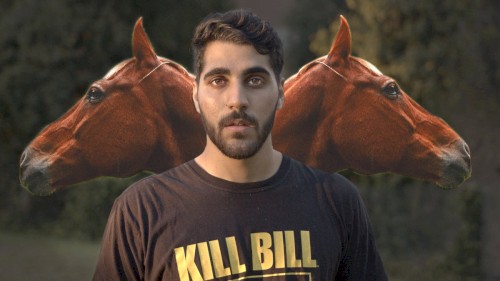 I wish I was a horse