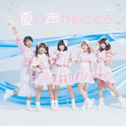 夏の声が聞こえる