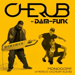 Cherub & Dâm-Funk - Monogamy (Amerigo Gazaway Blend)