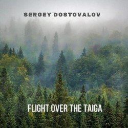 Flight over the Taiga