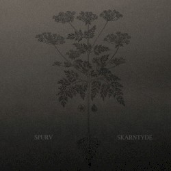 Skarntyde