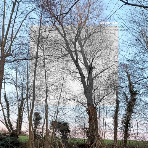 Melting Snow - Neuronal Static