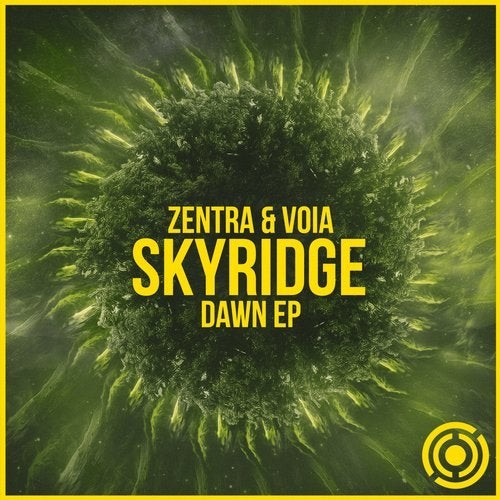 Skyridge