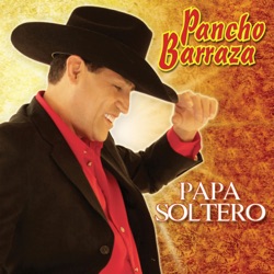 Papá soltero