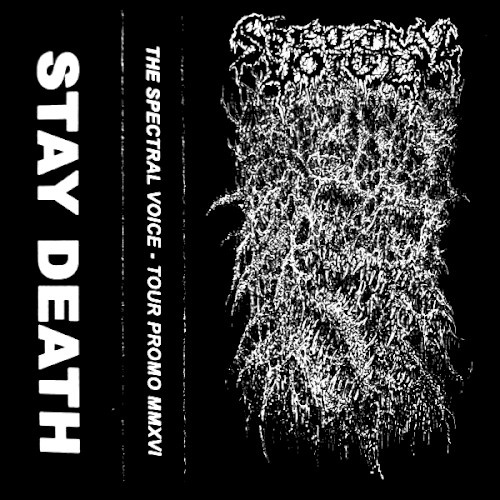 Tour Promo MMXVI