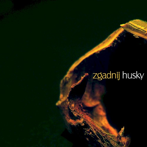 Zgadnij