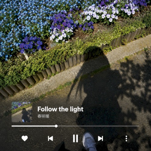 Follow the light