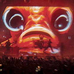 Wembley. London. 17th February 2024