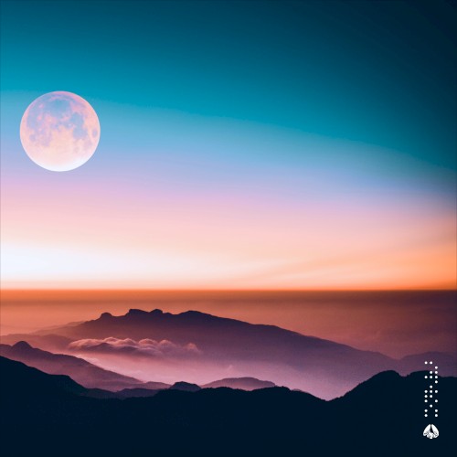 Under the Moonlight