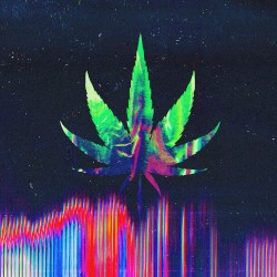Ganja Dub VIP