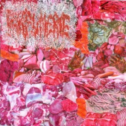 Transmundane and Unprofessional Delocation of Superfluous Extremities and Rare Tissues E.P.